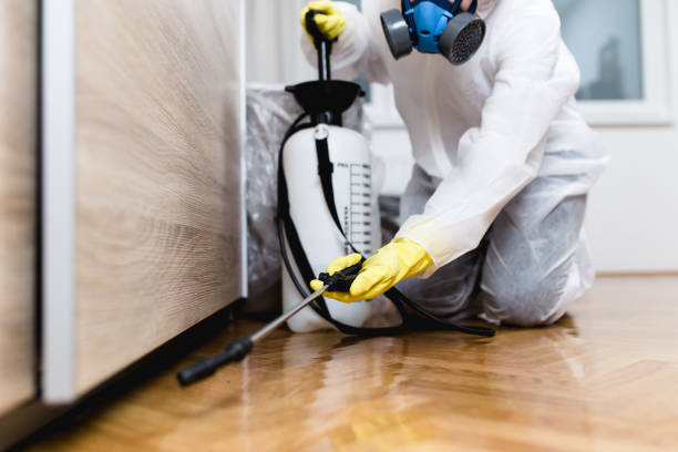 Best Pest Prevention Services  in Aztec, NM