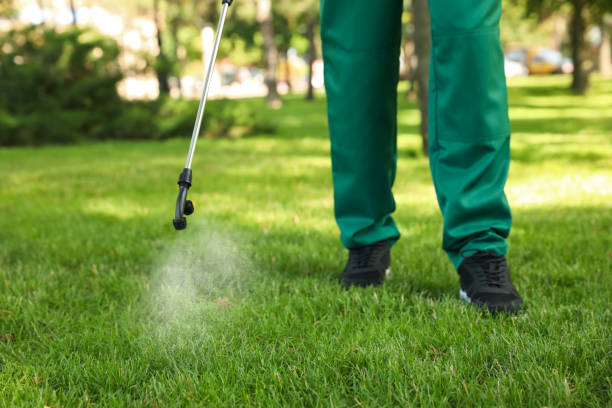 Best Wasp Removal Services  in Aztec, NM