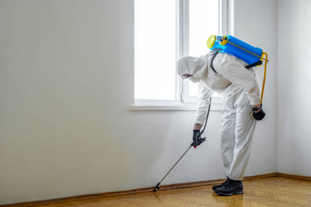 Best Mosquito Control Services  in Aztec, NM