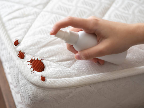 Best Affordable Pest Control Services  in Aztec, NM