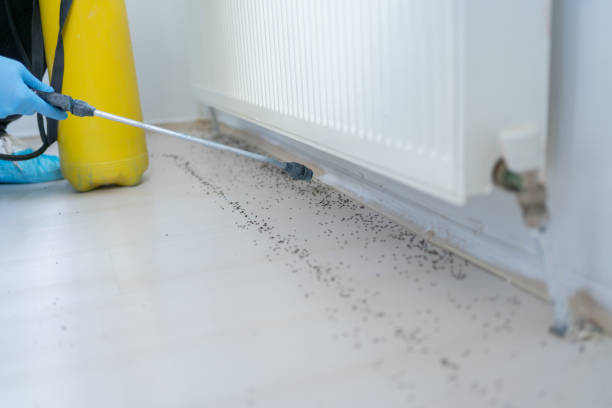 Best Mosquito Control Services  in Aztec, NM