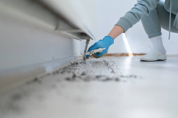 Best Residential Pest Control  in Aztec, NM