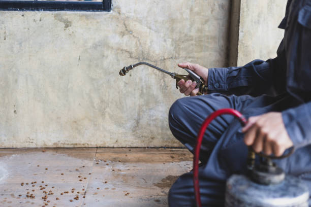 Best Best Pest Control Near Me  in Aztec, NM